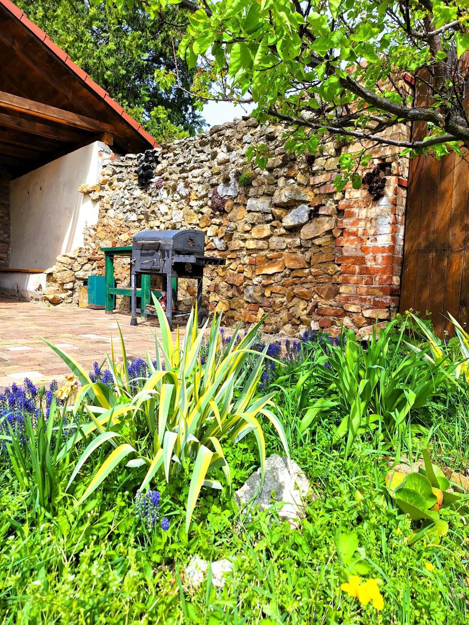 Penzión Villa Agnes Smolenice Exterior foto